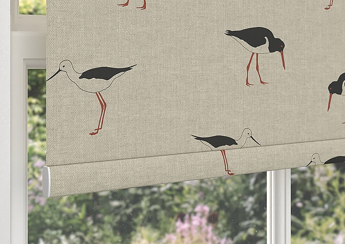 Emily Bond Oyster Catcher, Charcoal - Roller Blind - Image 4